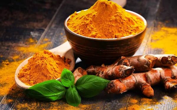 خرید زرد چوبه تازه شیراز + قیمت عالی باکیفیت